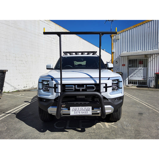 Nudgebar & Hrack Set Compatible with BYD